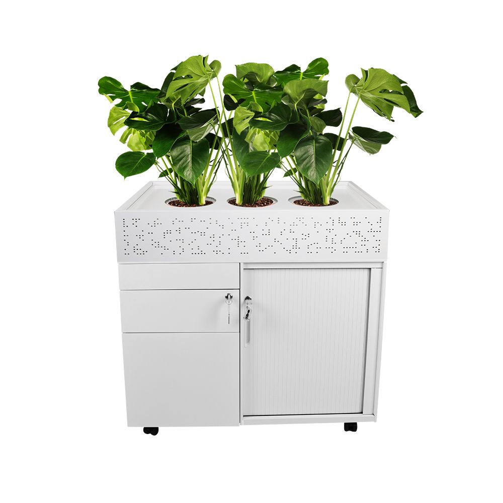 Order Planter Box