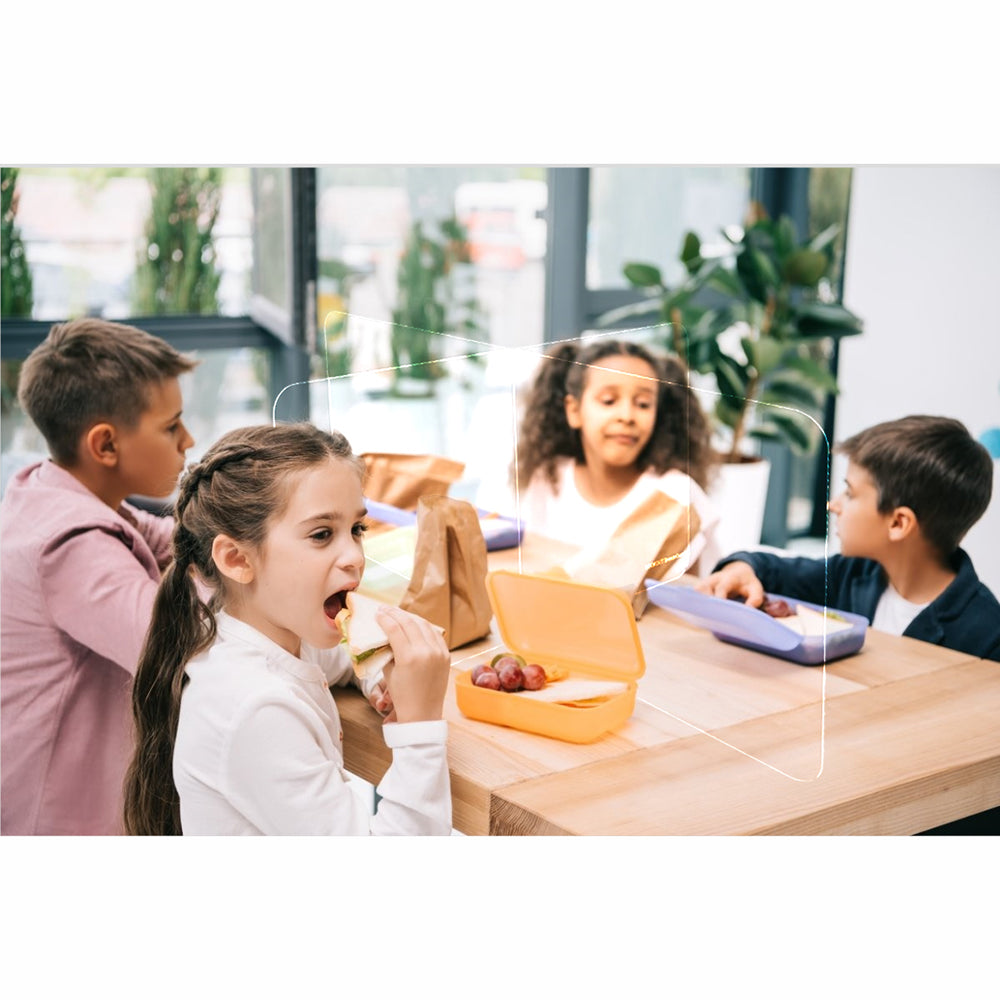 4 Way Acrylic Dividers