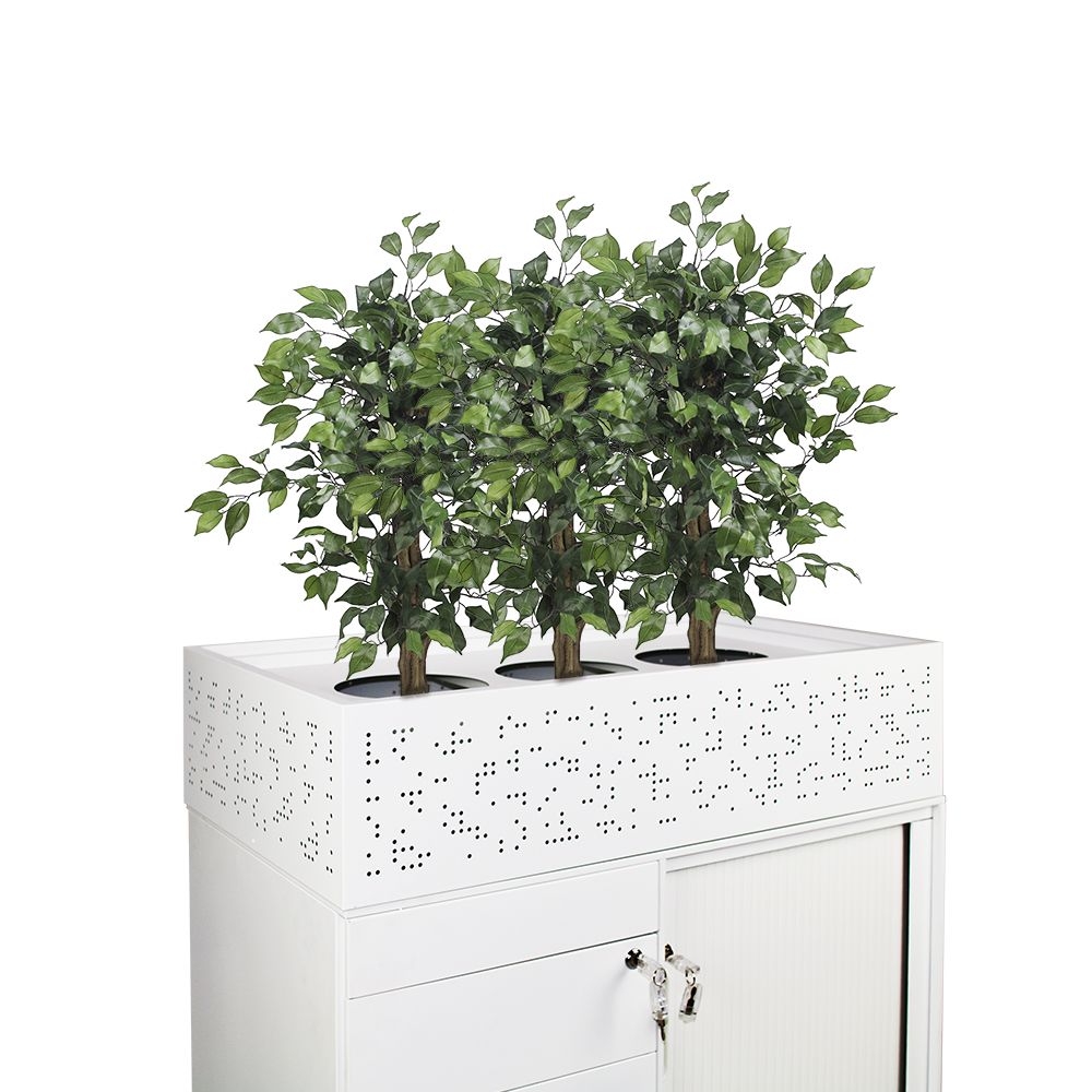 Order Planter Box